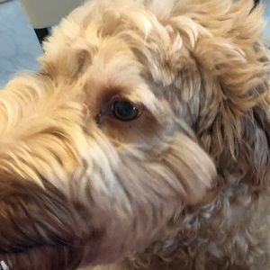 Meet your Posher, Maria pia